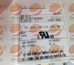 อีเมอร์สัน 1X00416H01 